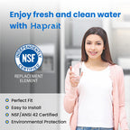 HP005 Replacement Refrigerator Water Filter