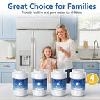 High Efficiency Filtration Carbon Water Filter