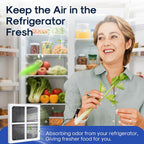 Refrigerator Air Filter Replacement Triple Filtration